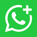 Whatsapp Business API