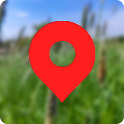 Адрес с Яндекс.Картой — поле в карточке CRM и роботы